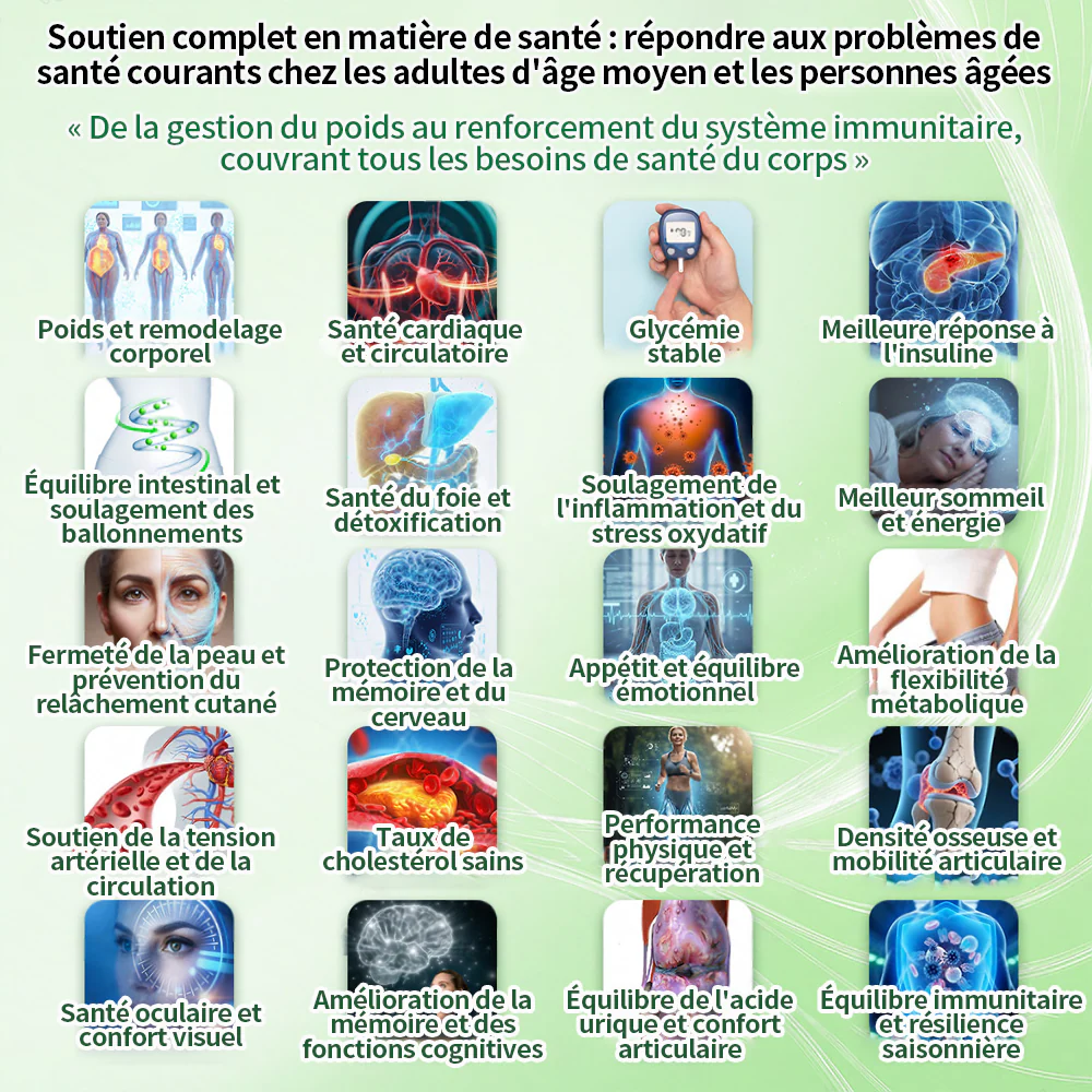Purelora® Berberine × Chromium Complete Metabolic Rhythm Kit (🌀 Patch externe quotidien + Poudre de soutien métabolique hebdomadaire) ✅ Pour l’équilibre métabolique, le soutien de la glycémie, la circulation et la santé métabolique globale - Image 6