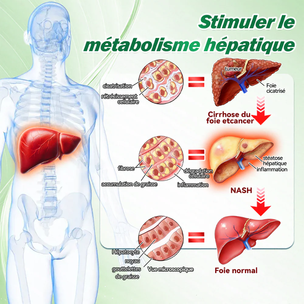 Purelora® Berberine × Chromium Complete Metabolic Rhythm Kit (🌀 Patch externe quotidien + Poudre de soutien métabolique hebdomadaire) ✅ Pour l’équilibre métabolique, le soutien de la glycémie, la circulation et la santé métabolique globale - Image 9