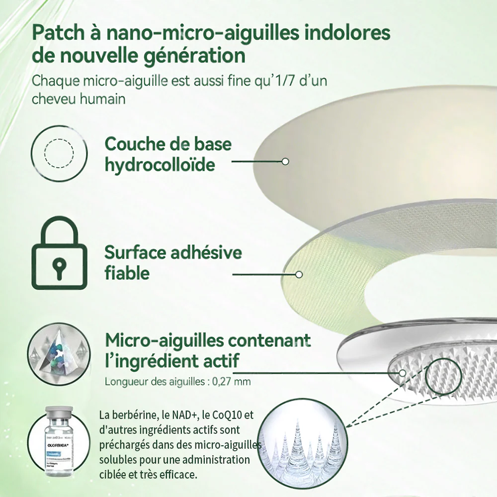 🇫🇷 Nouveauté 2026丨 Purelora® Moringa Berbérine x NAD+ Patch Nano-Microneedle 10-en-1 Une application par jour, changements visibles dès 7 jours. Pour accompagner la gestion du poids et le bien-être global. - Image 15
